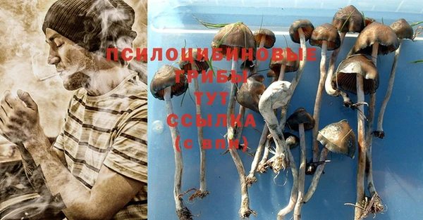 крисы Абинск