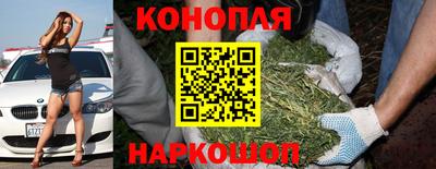 гидра Заволжье
