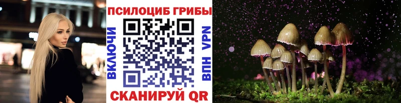 Псилоцибиновые грибы ЛСД  закладки  Советский 